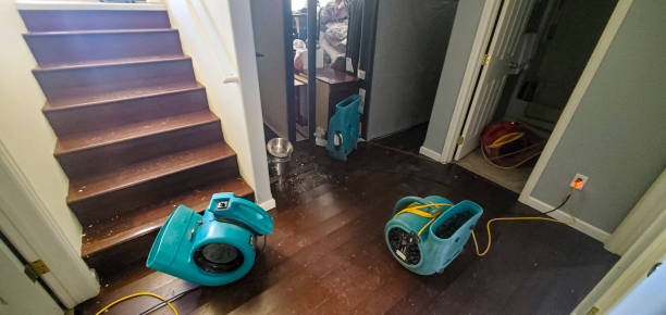 Best Emergency water damage restoration  in California, MD