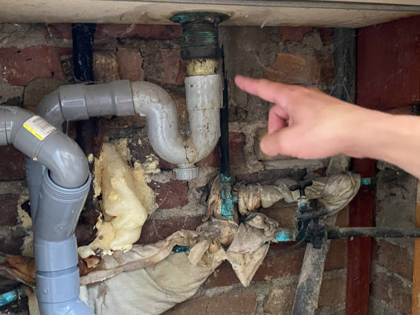 Best Local water damage restoration  in California, MD