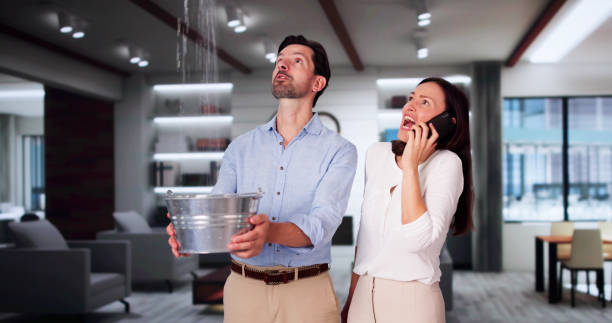 Best Water damage restoration experts  in California, MD